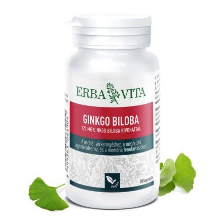 GINKGO BILOBA 120 mg Ginkgo biloba kivonat, normál vérkeringés, megfelelő agyműködés és memória