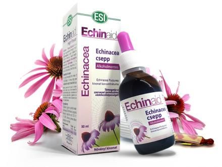 Alkoholmentes Echinacea csepp - Immunvédő, külső, belső gyulladások, felső légúti, húgyuti fertőzések.