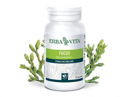  Barna alga tabletta - Szerves jód- és kolloidális alginsav forrás. Moszat az anyagcsere serkentéséhez.